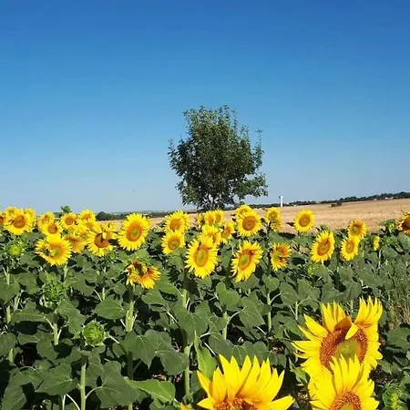Bed & Breakfast Clos Du Grand Fief
